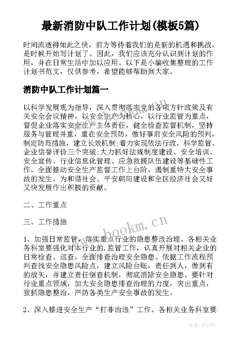 最新消防中队工作计划(模板5篇)