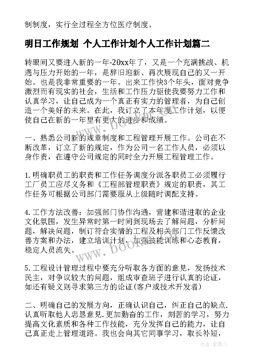 最新明日工作规划 个人工作计划个人工作计划(大全5篇)