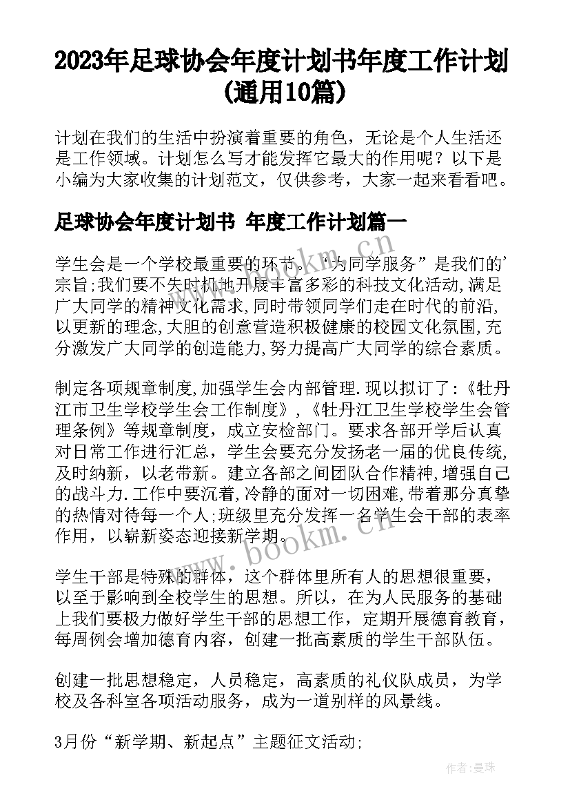 2023年足球协会年度计划书 年度工作计划(通用10篇)