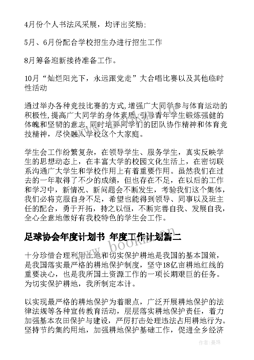 2023年足球协会年度计划书 年度工作计划(通用10篇)