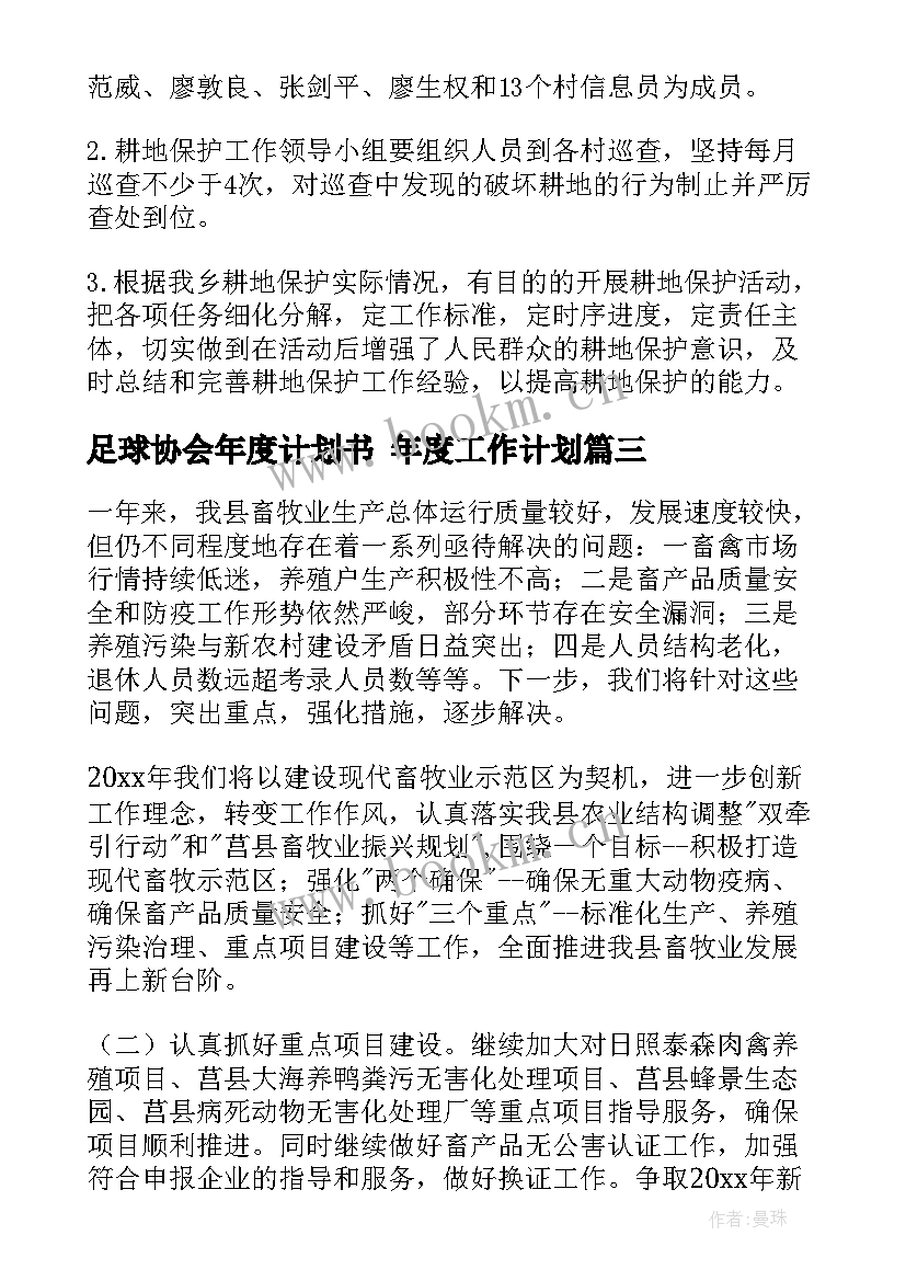 2023年足球协会年度计划书 年度工作计划(通用10篇)