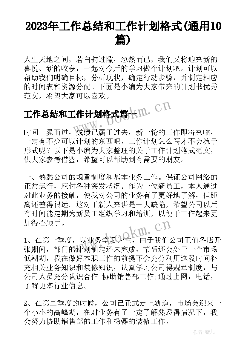 2023年工作总结和工作计划格式(通用10篇)