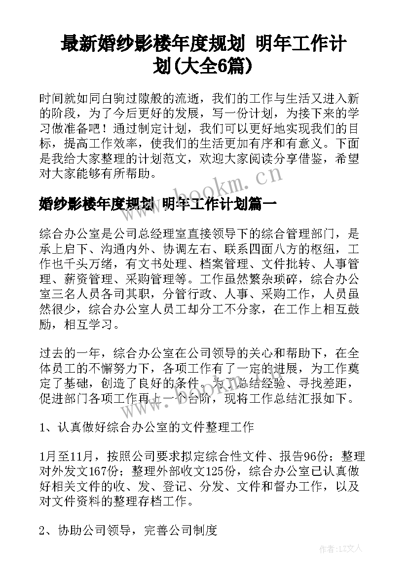 最新婚纱影楼年度规划 明年工作计划(大全6篇)