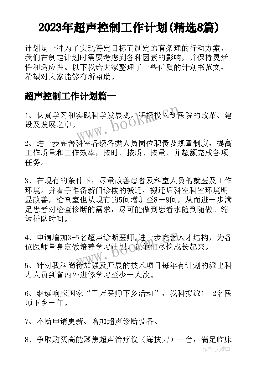 2023年超声控制工作计划(精选8篇)