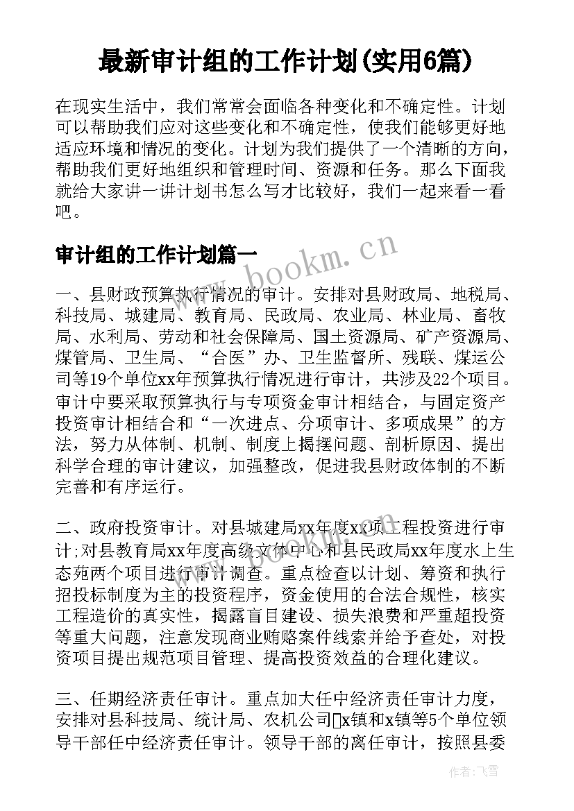 最新审计组的工作计划(实用6篇)