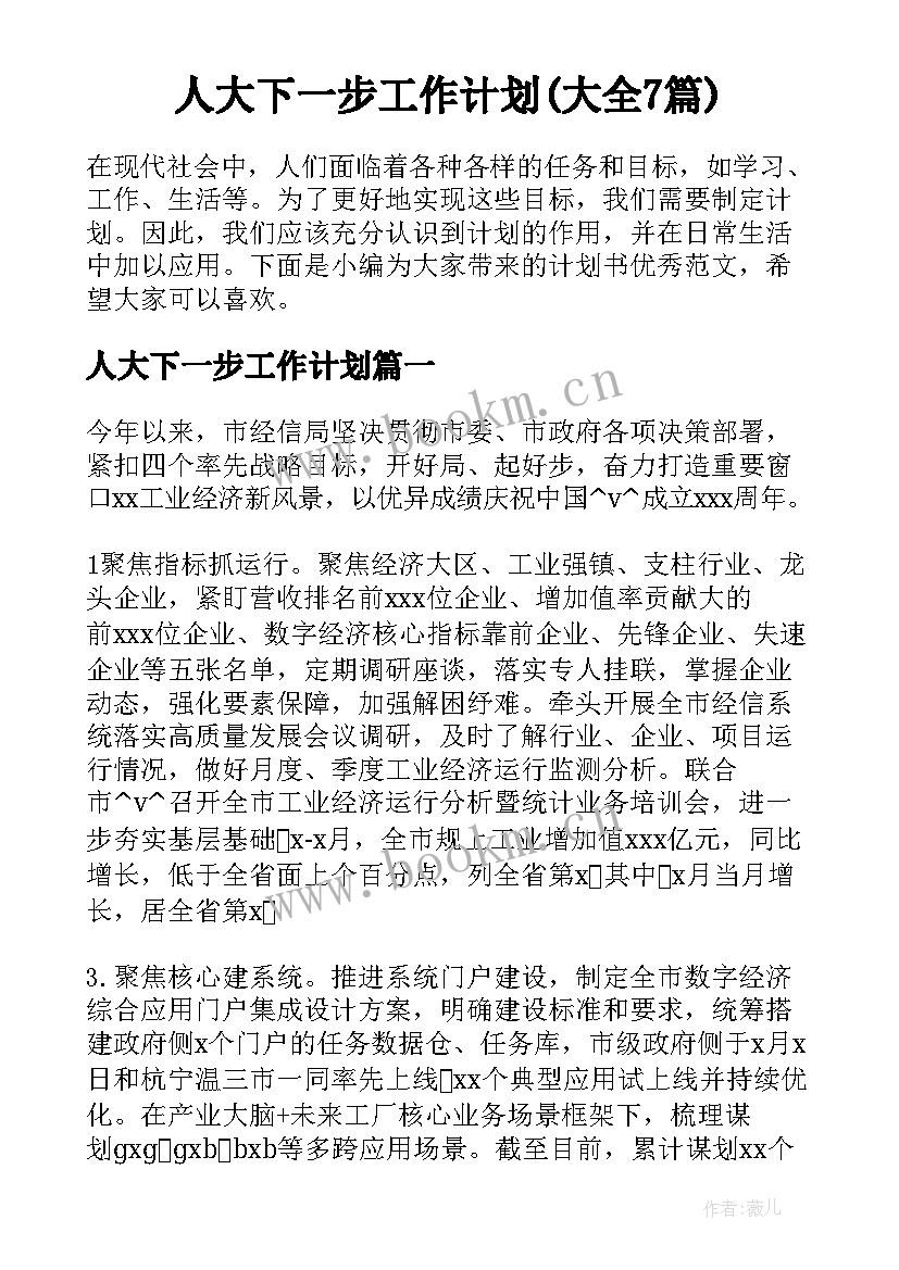 人大下一步工作计划(大全7篇)