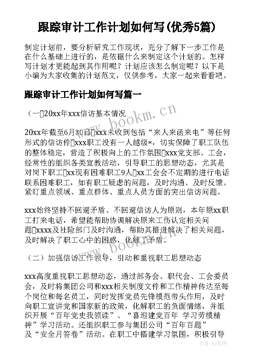 跟踪审计工作计划如何写(优秀5篇)