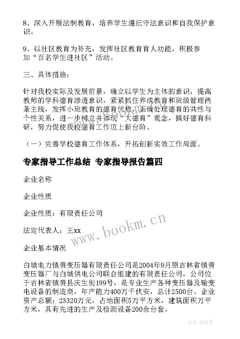 2023年专家指导工作总结 专家指导报告(优秀8篇)