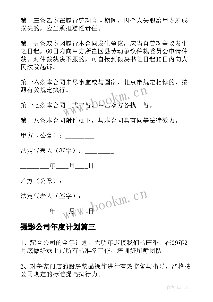 最新摄影公司年度计划(模板6篇)