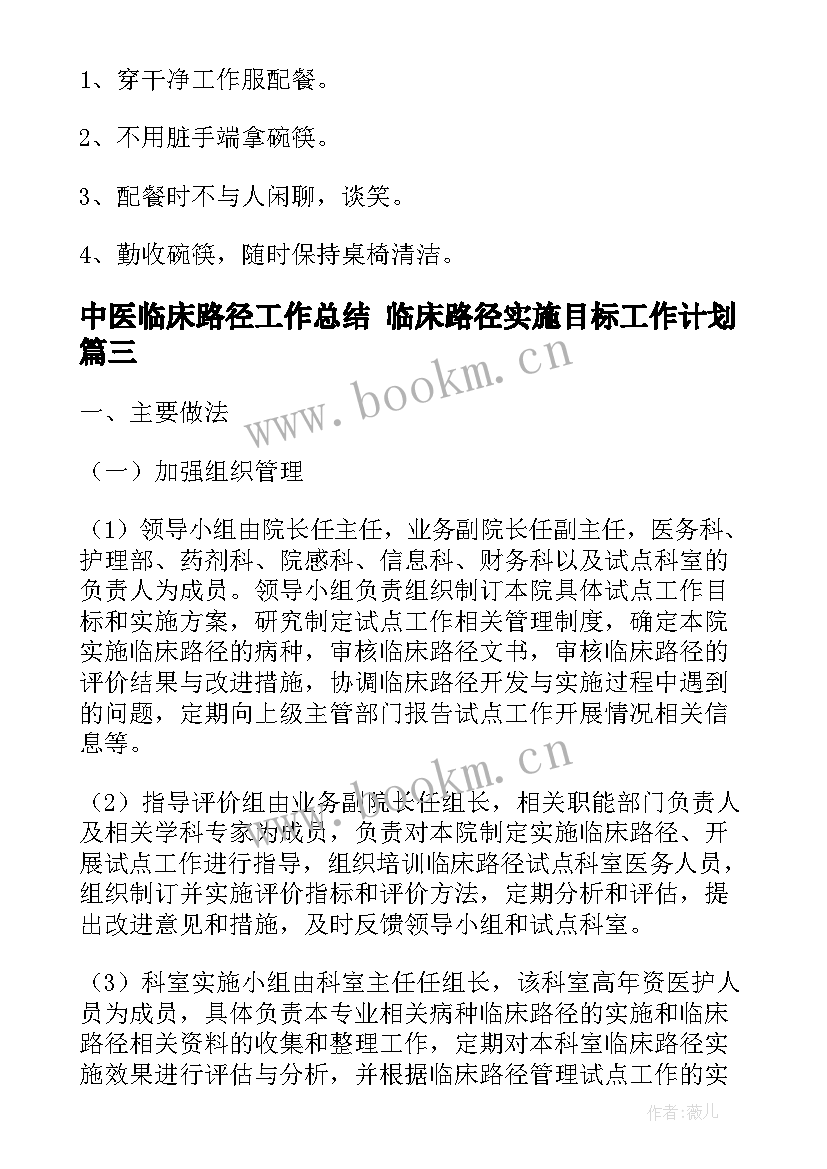 2023年中医临床路径工作总结 临床路径实施目标工作计划(模板5篇)