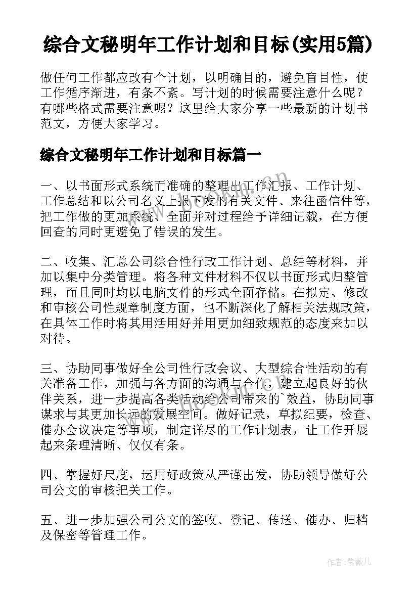 综合文秘明年工作计划和目标(实用5篇)