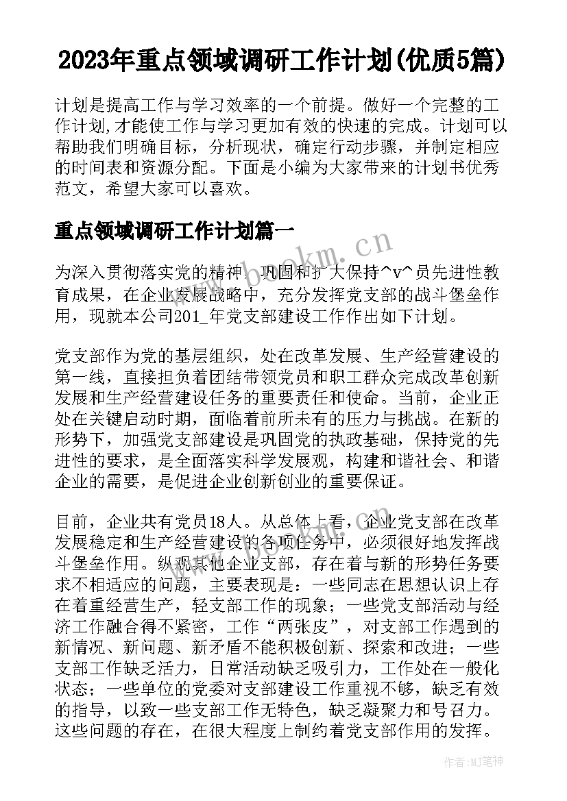 2023年重点领域调研工作计划(优质5篇)