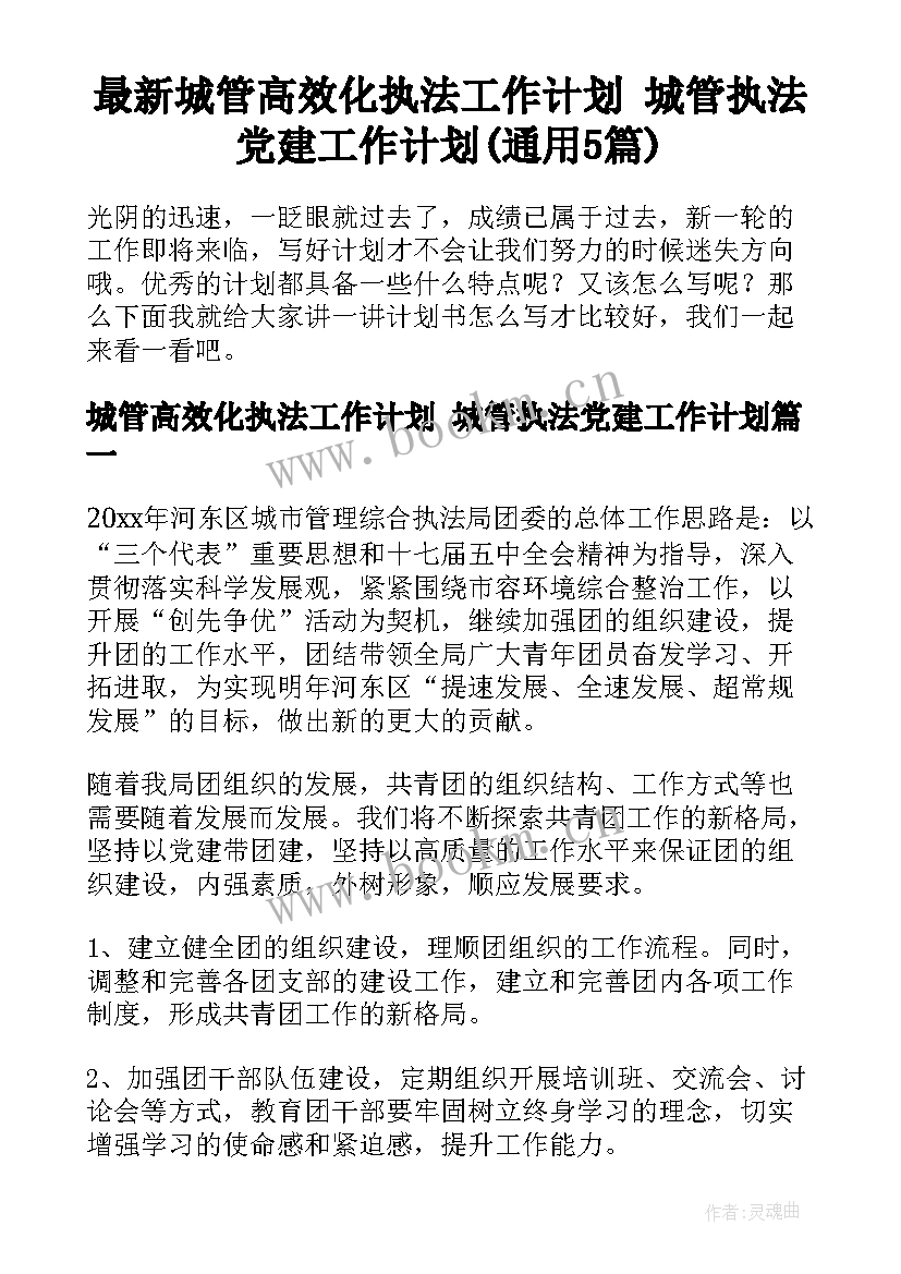 最新城管高效化执法工作计划 城管执法党建工作计划(通用5篇)