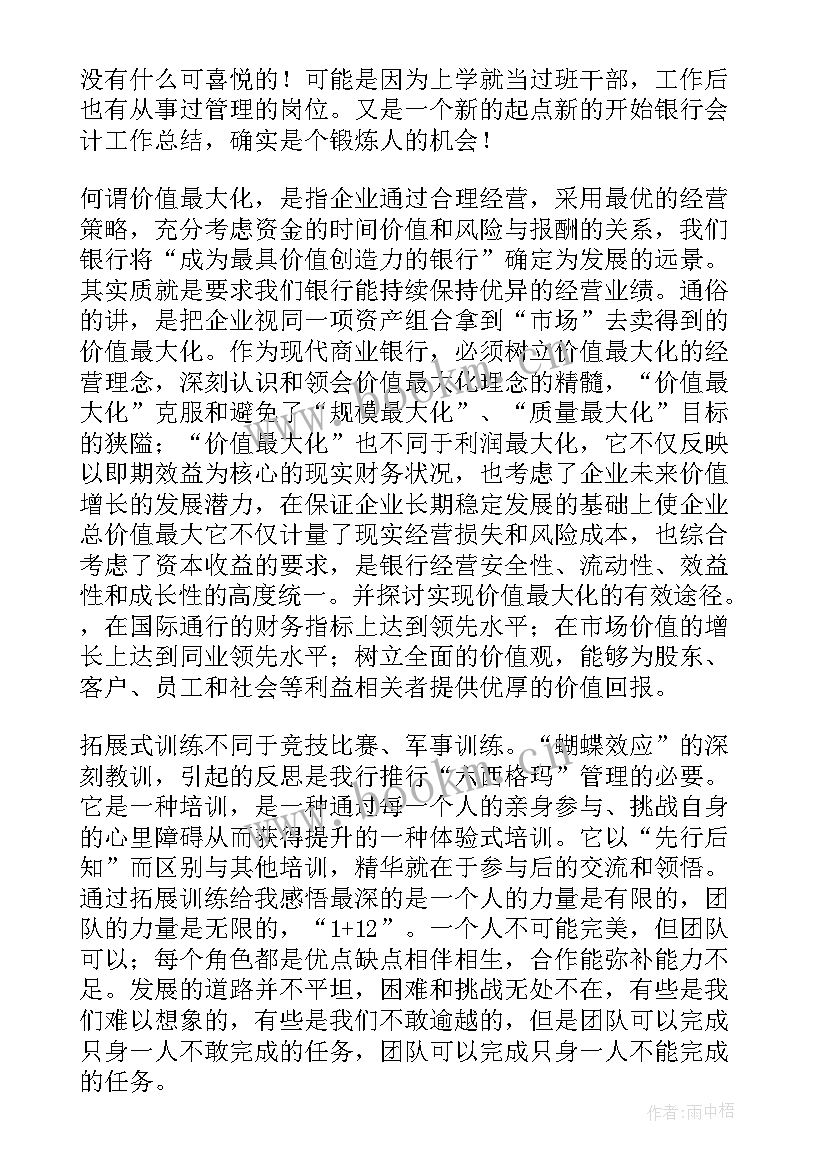 2023年费用会计年度总结与计划(实用10篇)