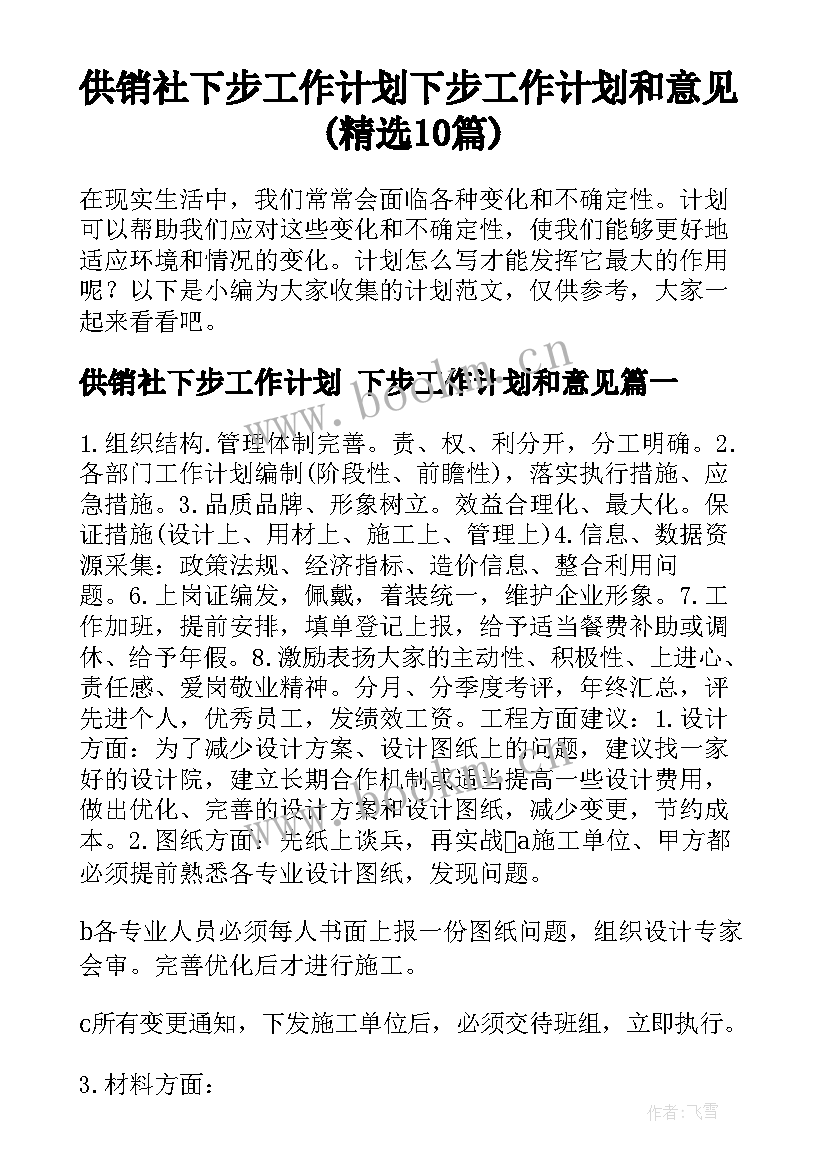 供销社下步工作计划 下步工作计划和意见(精选10篇)