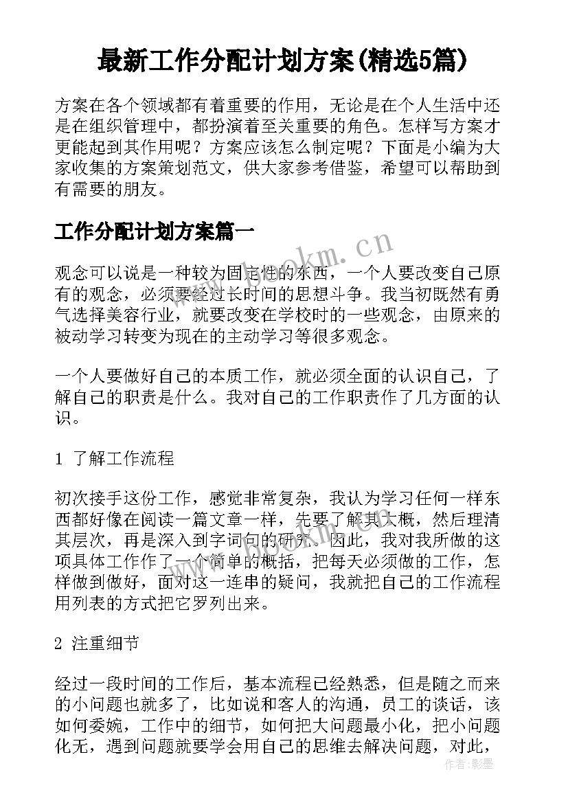 最新工作分配计划方案(精选5篇)