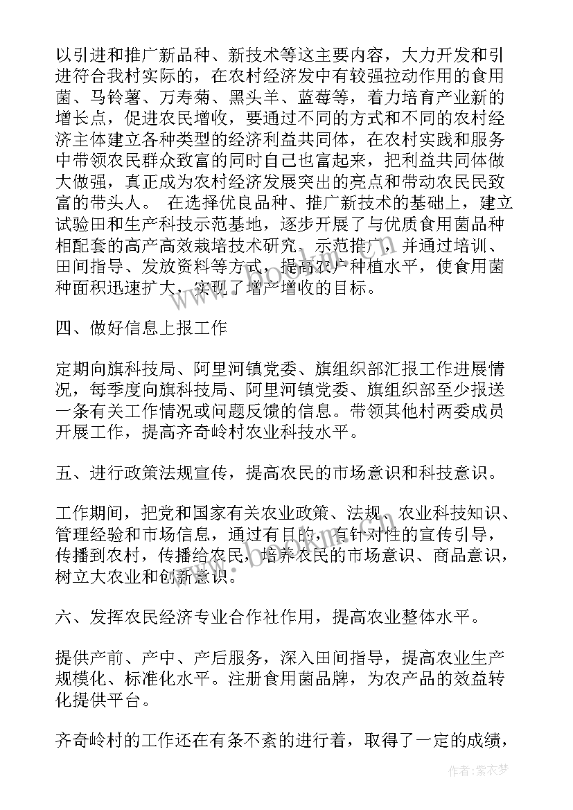 2023年两纲工作汇报 两纲工作总结(模板5篇)