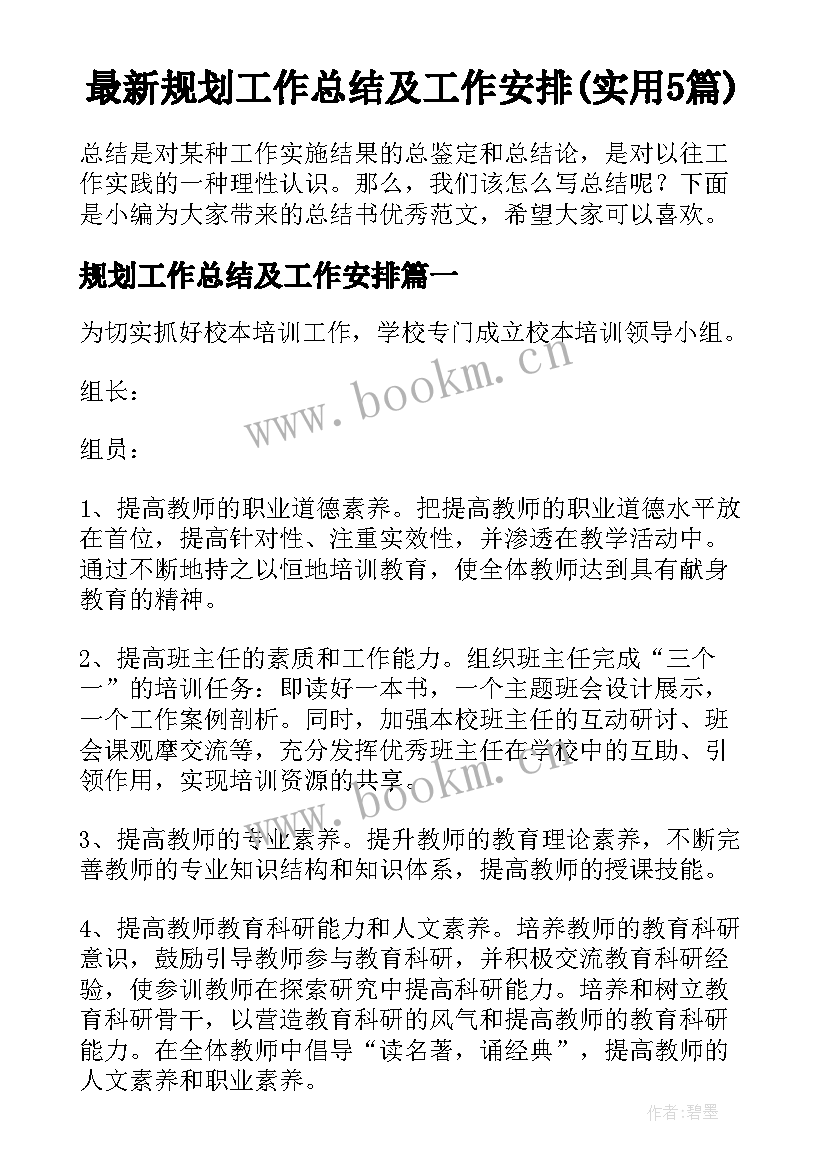 最新规划工作总结及工作安排(实用5篇)