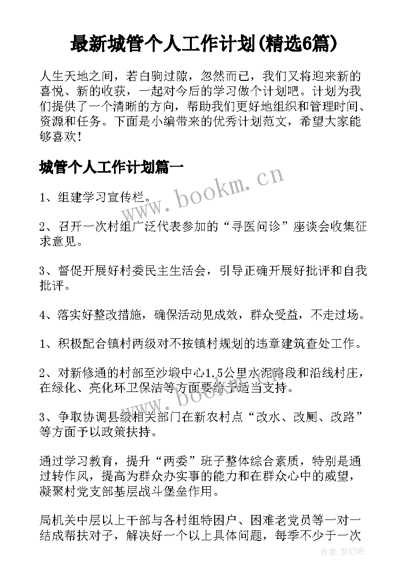 最新城管个人工作计划(精选6篇)