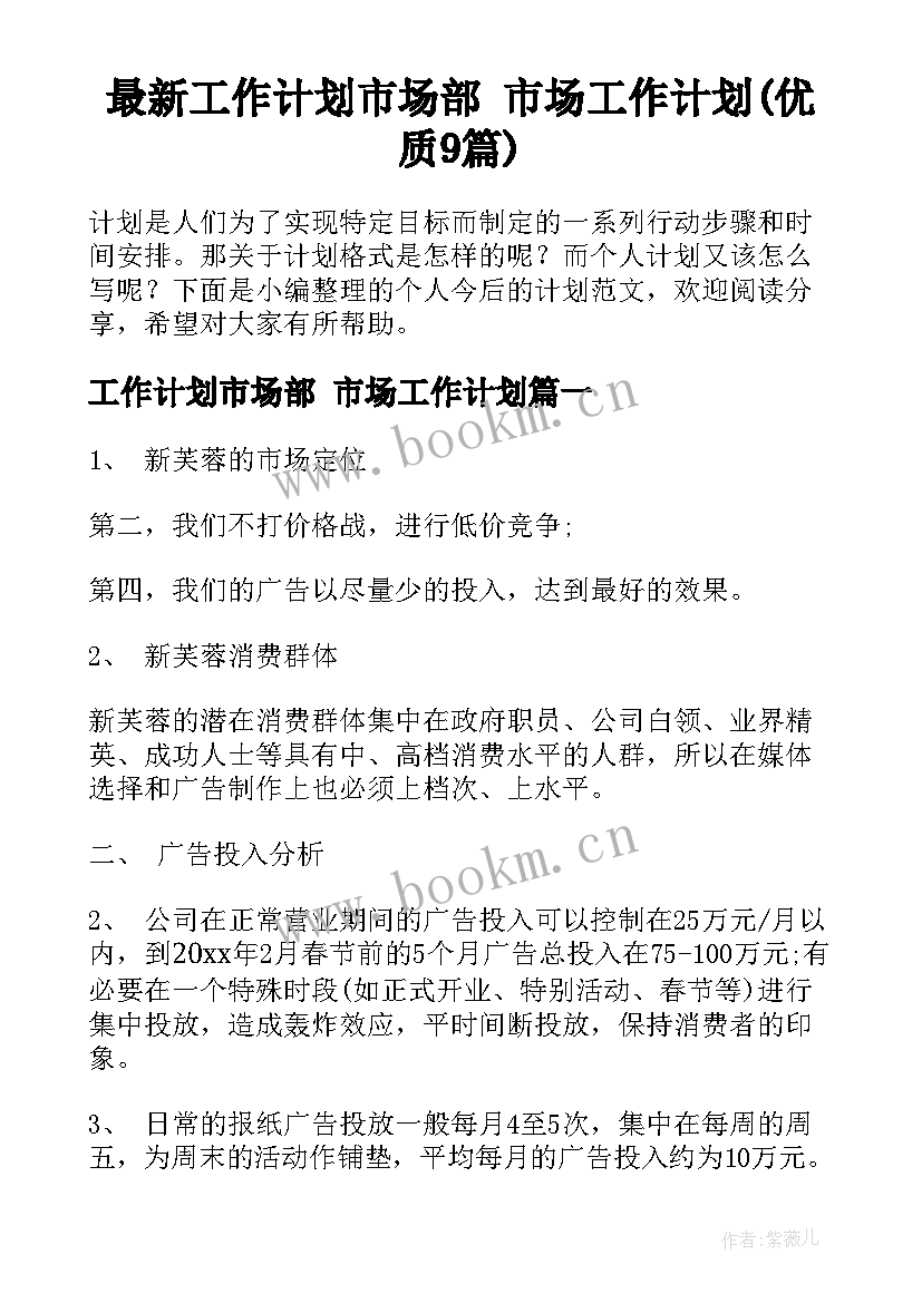 最新工作计划市场部 市场工作计划(优质9篇)