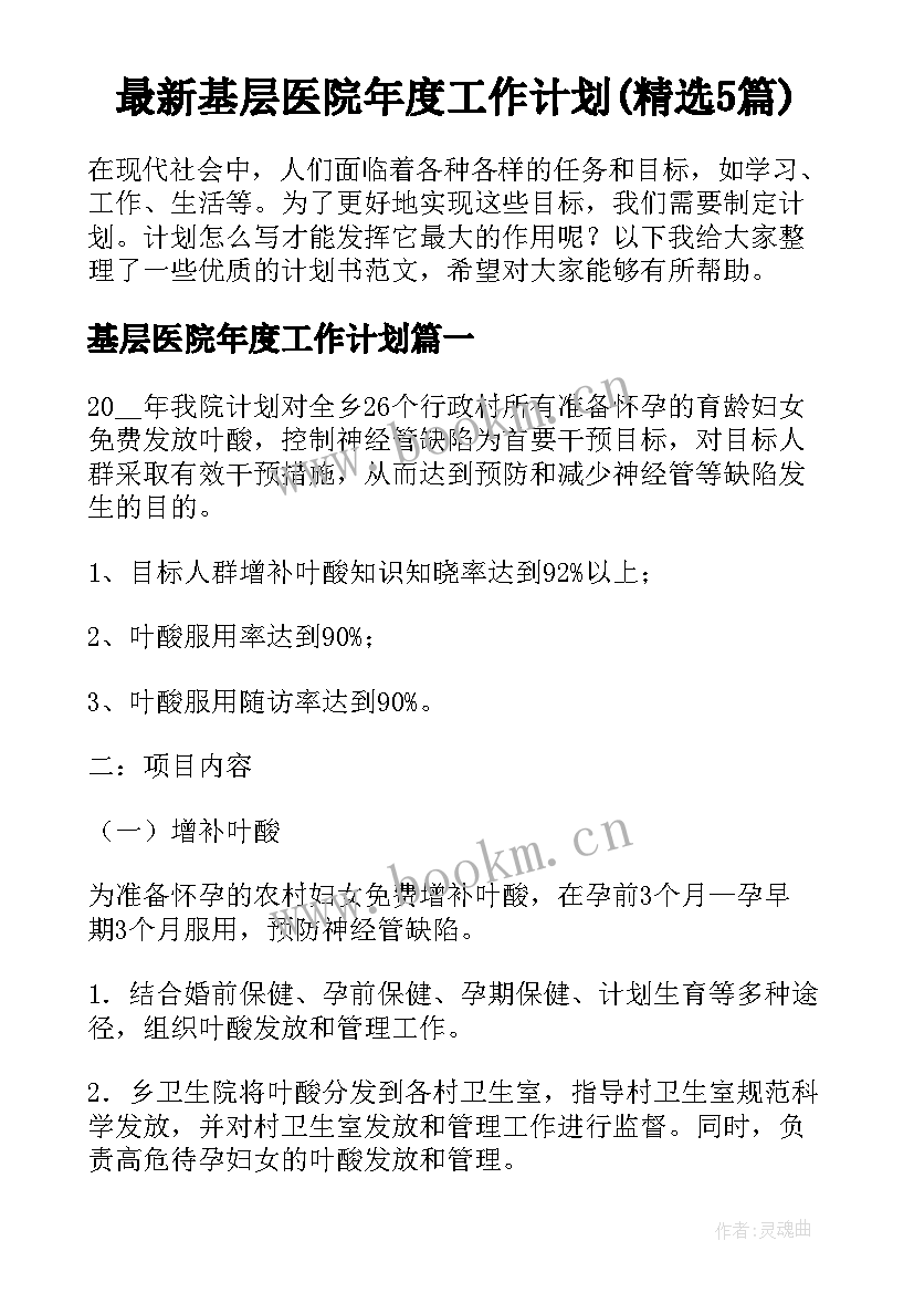 最新基层医院年度工作计划(精选5篇)