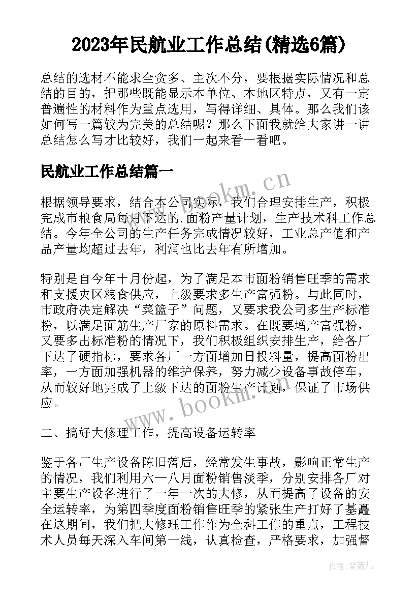 2023年民航业工作总结(精选6篇)