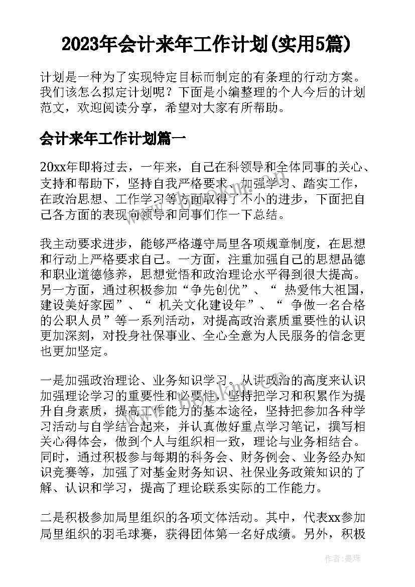 2023年会计来年工作计划(实用5篇)