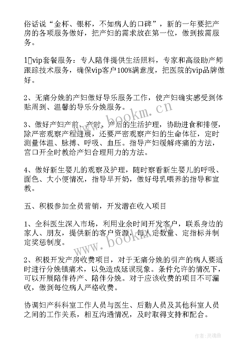 2023年民营医院医务科工作计划 医院妇产科工作计划(实用9篇)