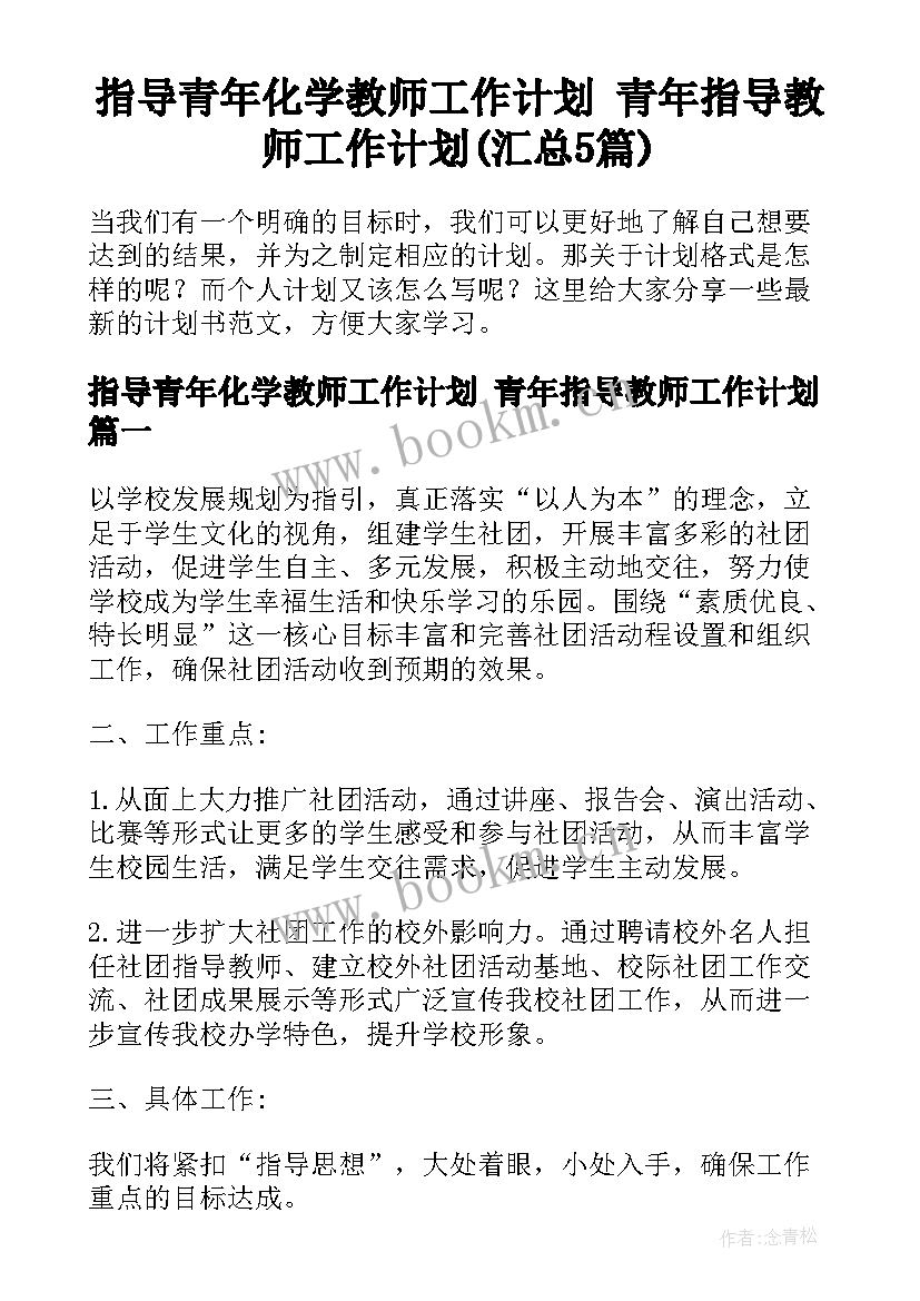 指导青年化学教师工作计划 青年指导教师工作计划(汇总5篇)