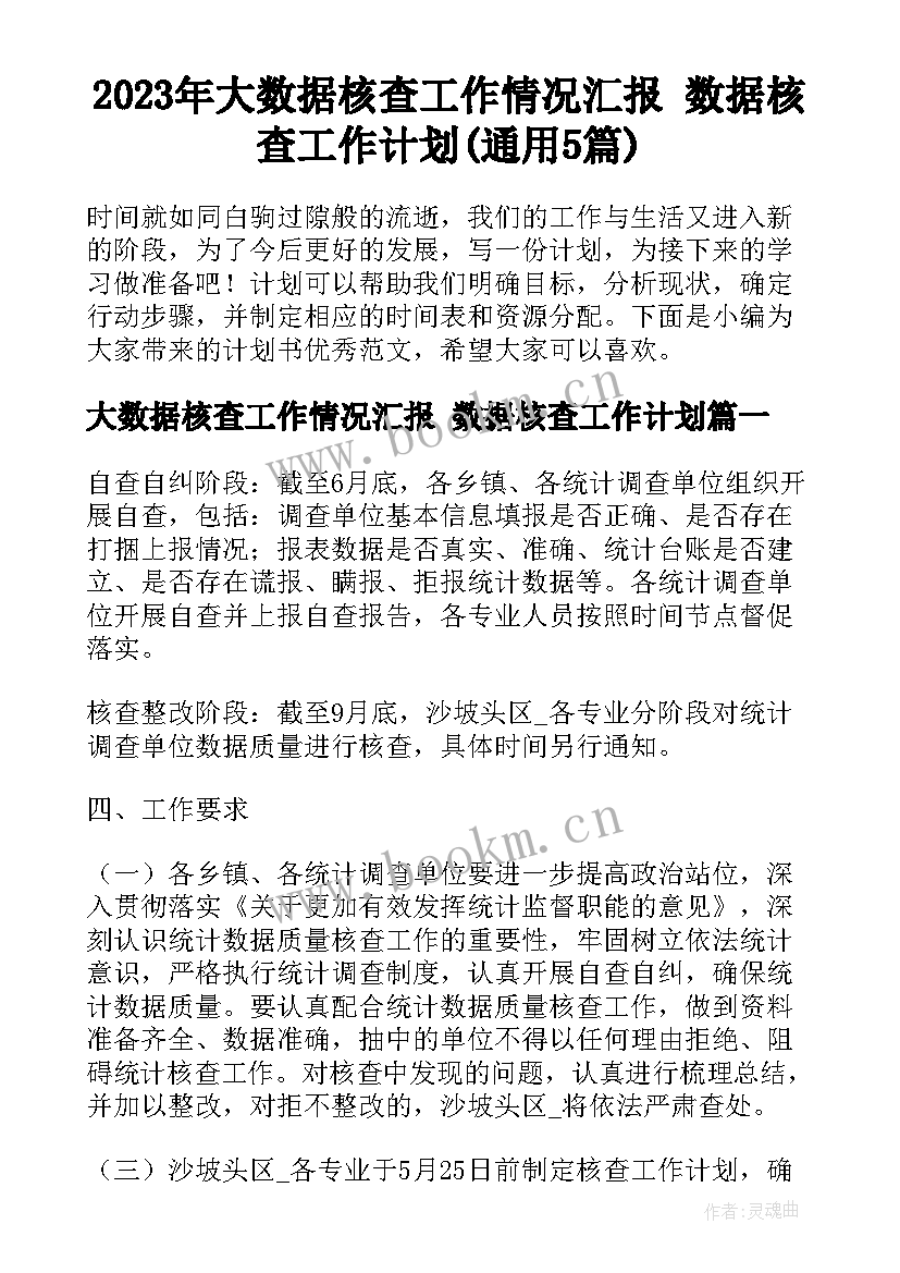 2023年大数据核查工作情况汇报 数据核查工作计划(通用5篇)