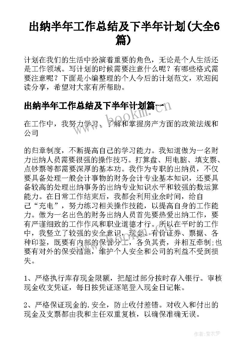 出纳半年工作总结及下半年计划(大全6篇)