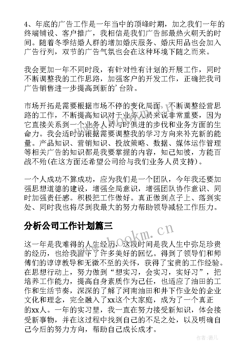 最新分析公司工作计划(优质7篇)