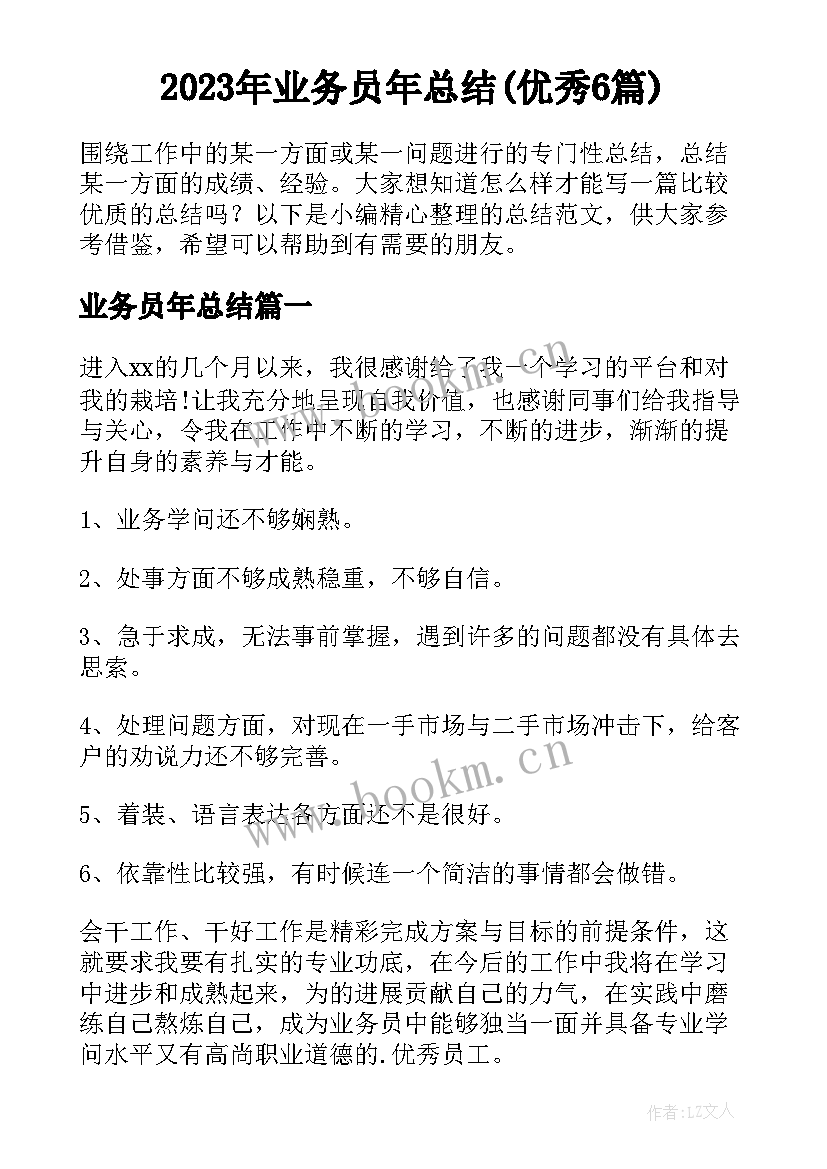 2023年业务员年总结(优秀6篇)