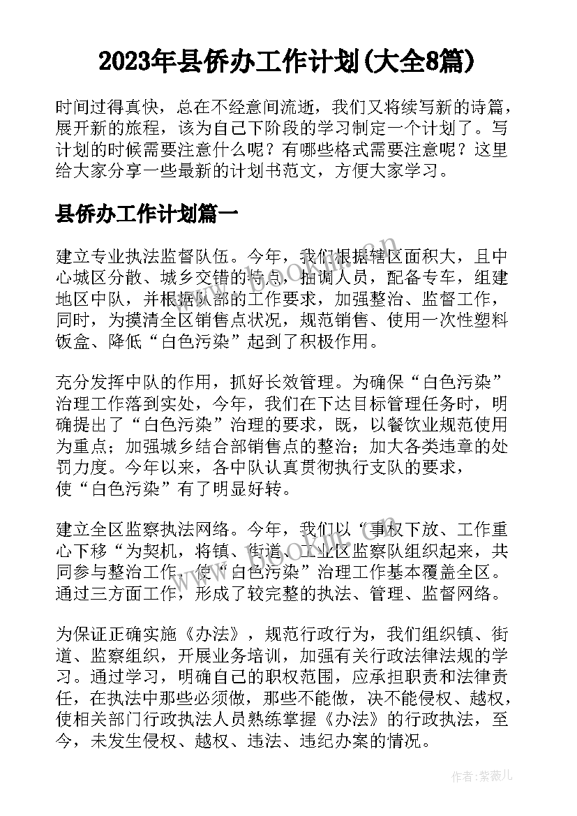 2023年县侨办工作计划(大全8篇)