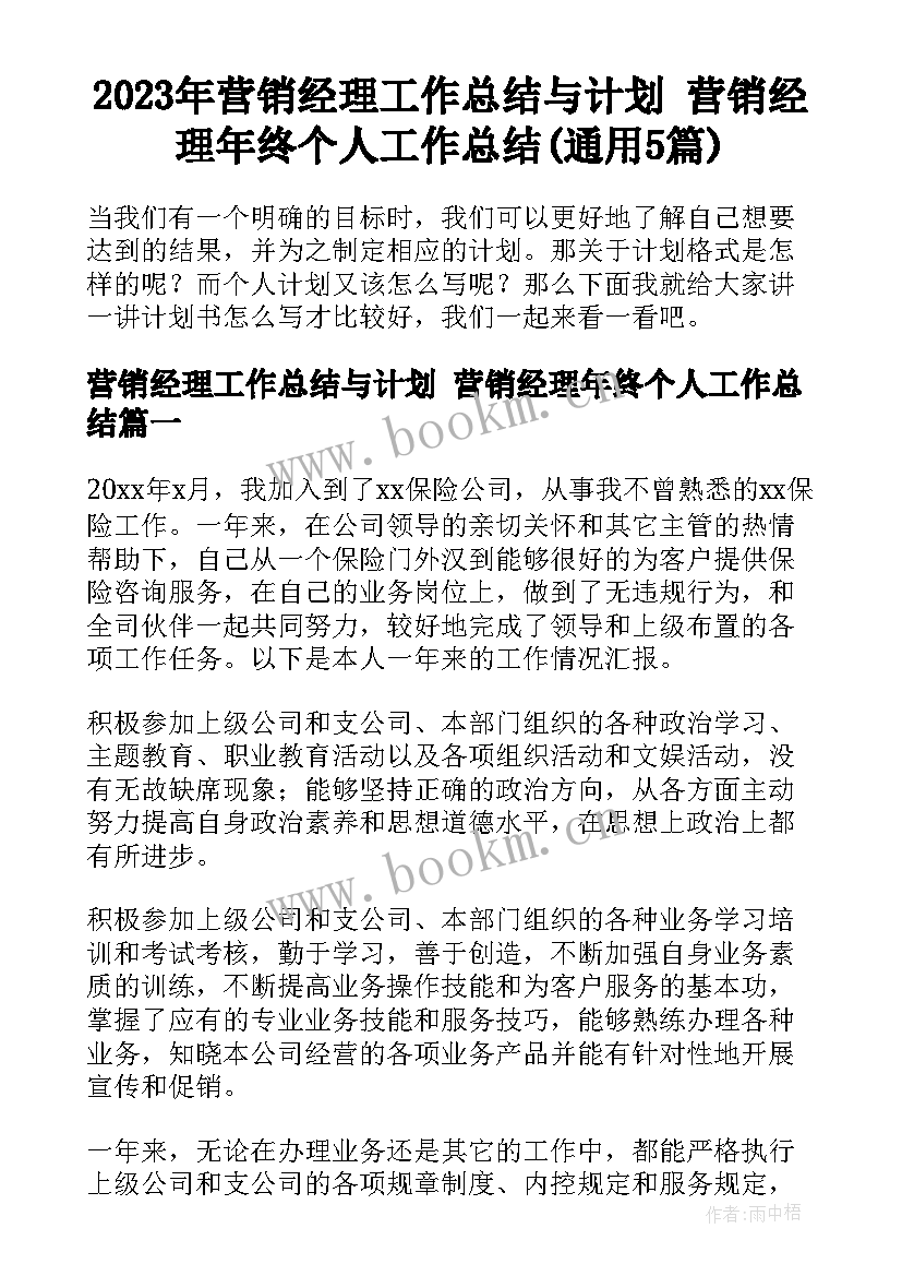 2023年营销经理工作总结与计划 营销经理年终个人工作总结(通用5篇)