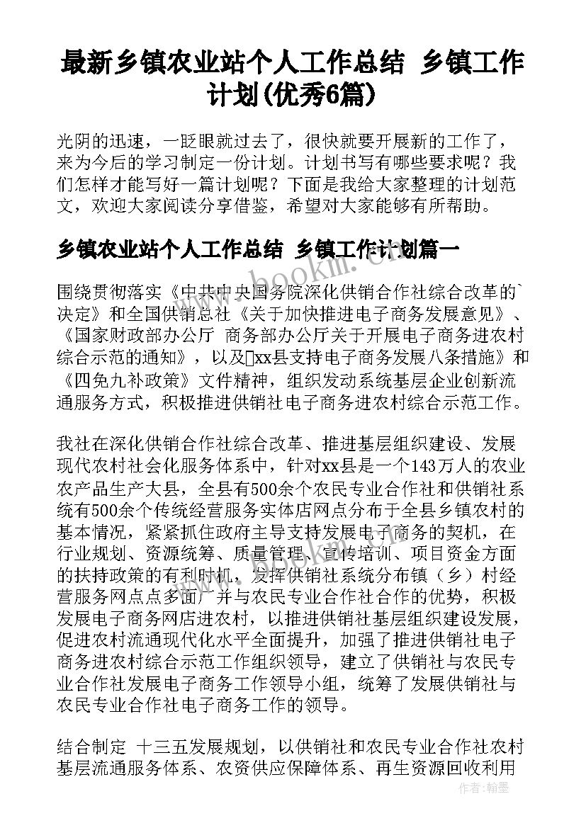 最新乡镇农业站个人工作总结 乡镇工作计划(优秀6篇)