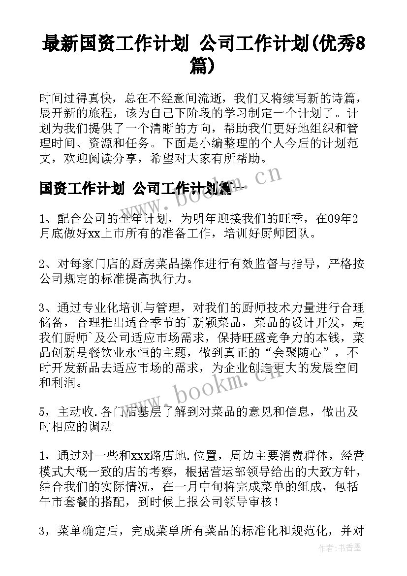 最新国资工作计划 公司工作计划(优秀8篇)