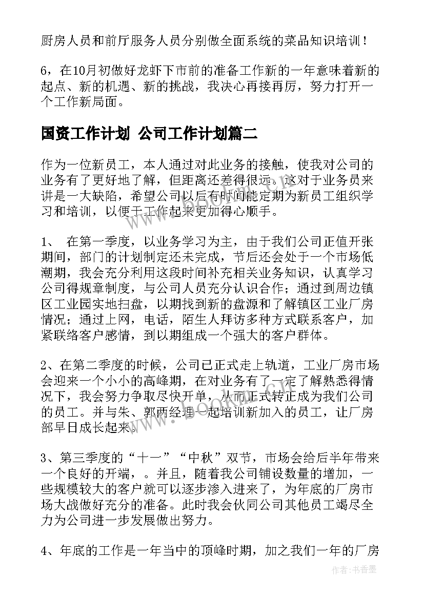 最新国资工作计划 公司工作计划(优秀8篇)