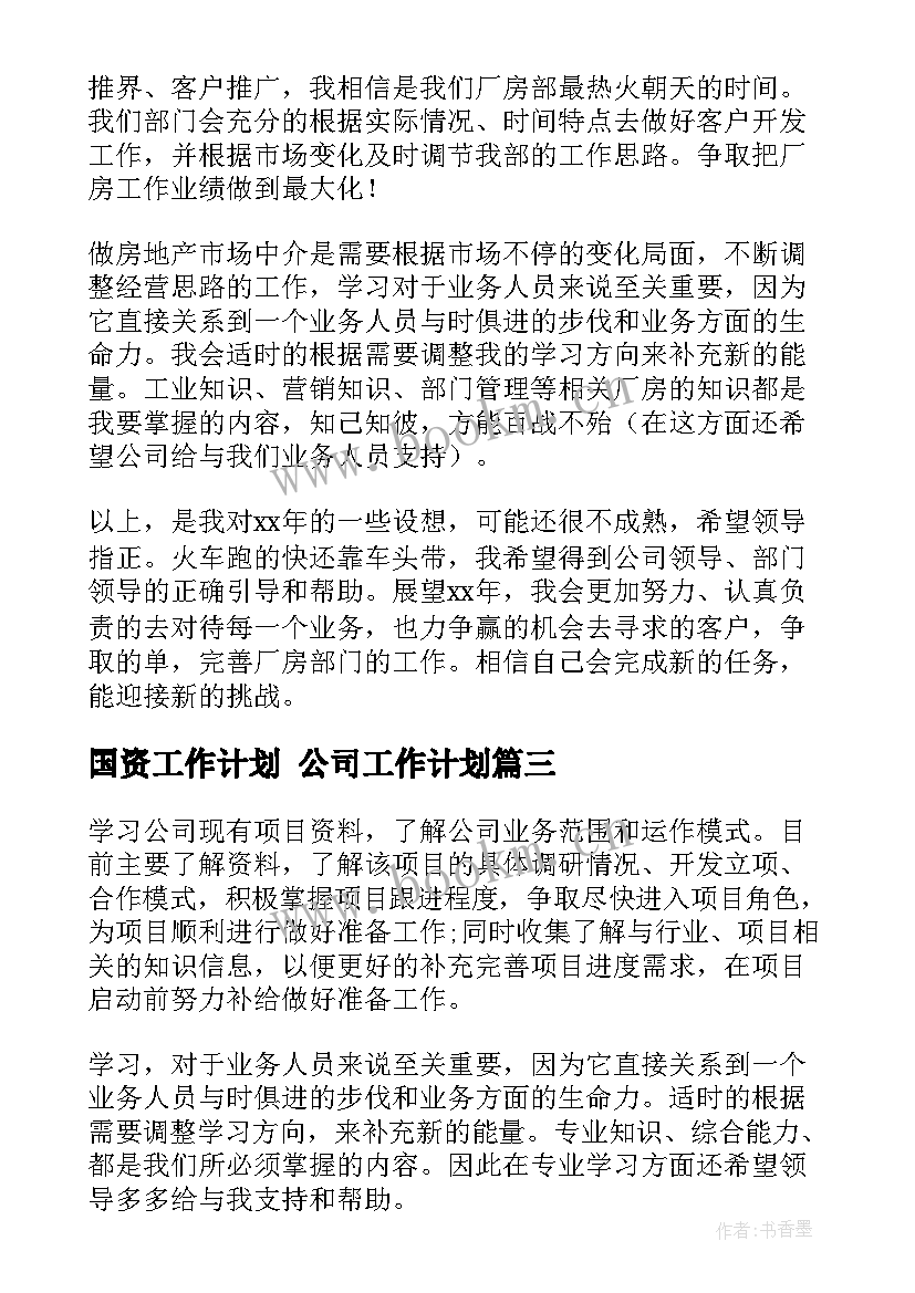 最新国资工作计划 公司工作计划(优秀8篇)