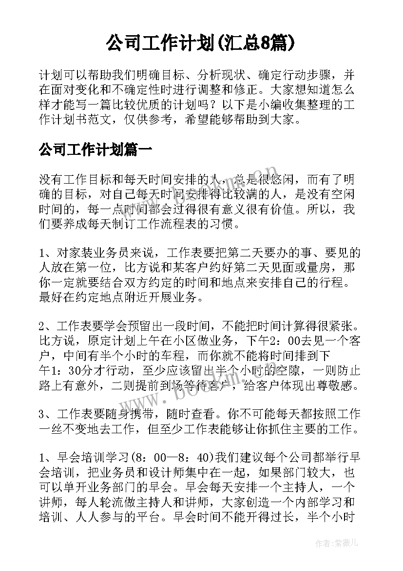 公司工作计划(汇总8篇)