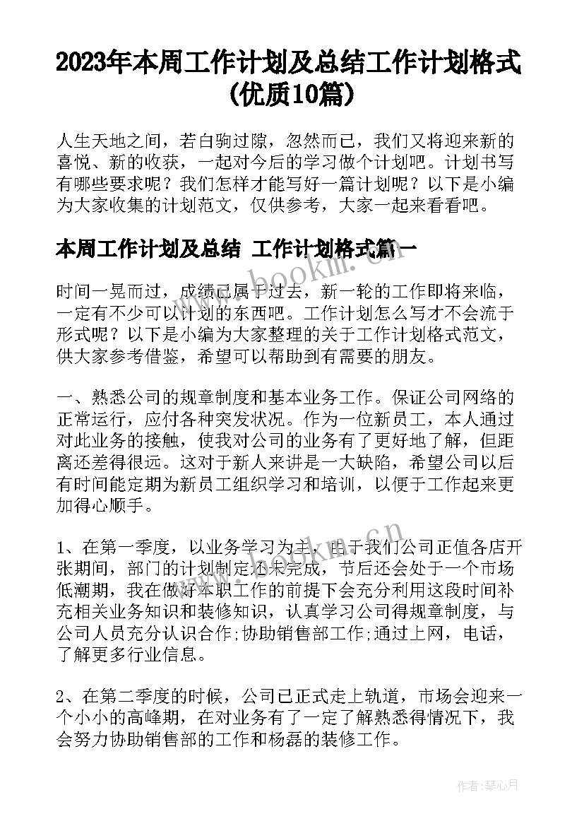 2023年本周工作计划及总结 工作计划格式(优质10篇)