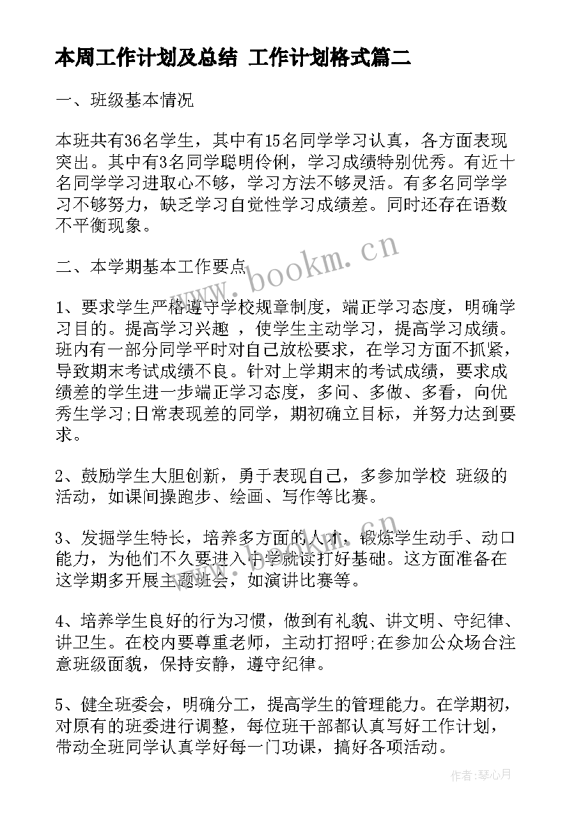 2023年本周工作计划及总结 工作计划格式(优质10篇)