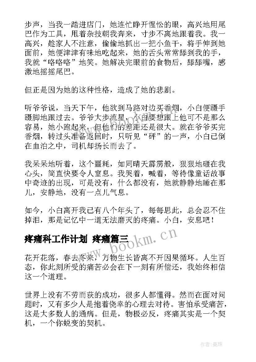 2023年疼痛科工作计划 疼痛(大全6篇)