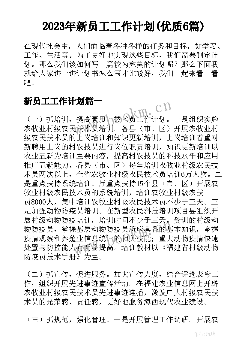 2023年新员工工作计划(优质6篇)