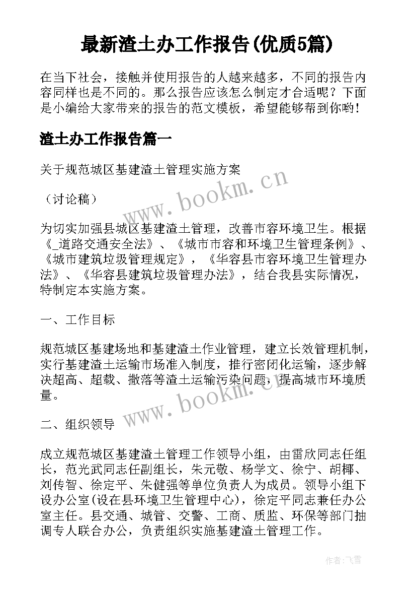 最新渣土办工作报告(优质5篇)