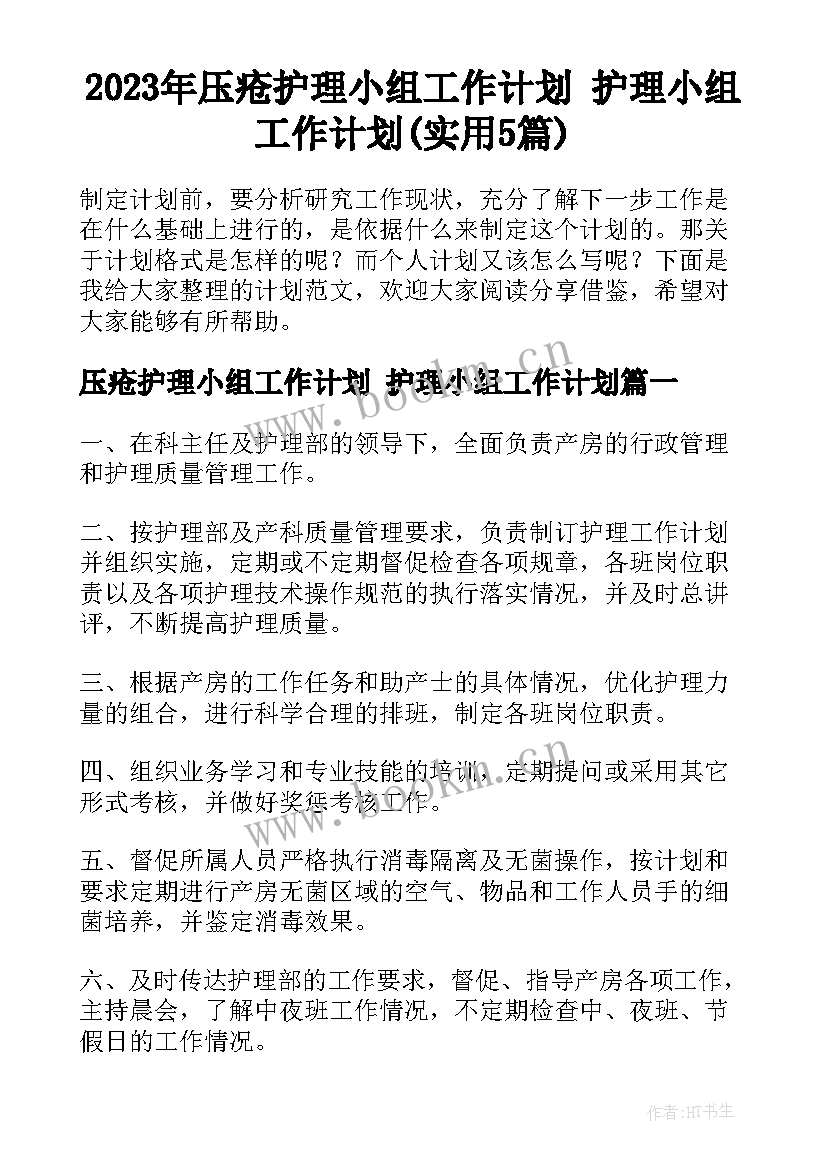 2023年压疮护理小组工作计划 护理小组工作计划(实用5篇)