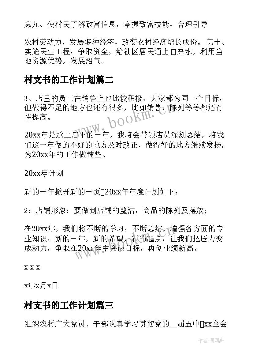 最新村支书的工作计划(优质6篇)