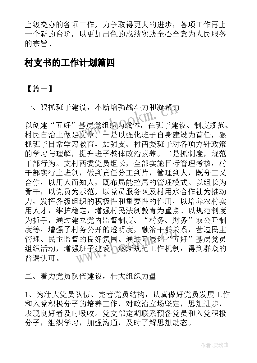 最新村支书的工作计划(优质6篇)