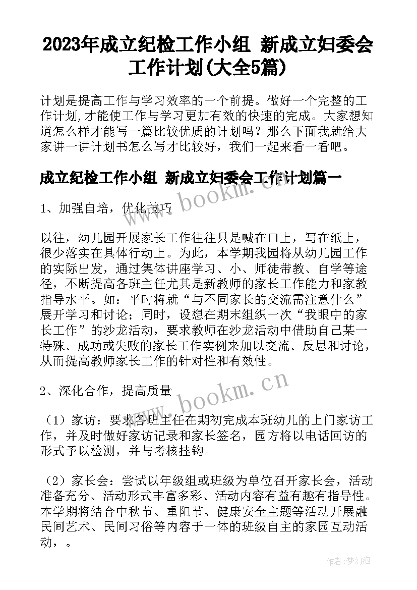 2023年成立纪检工作小组 新成立妇委会工作计划(大全5篇)