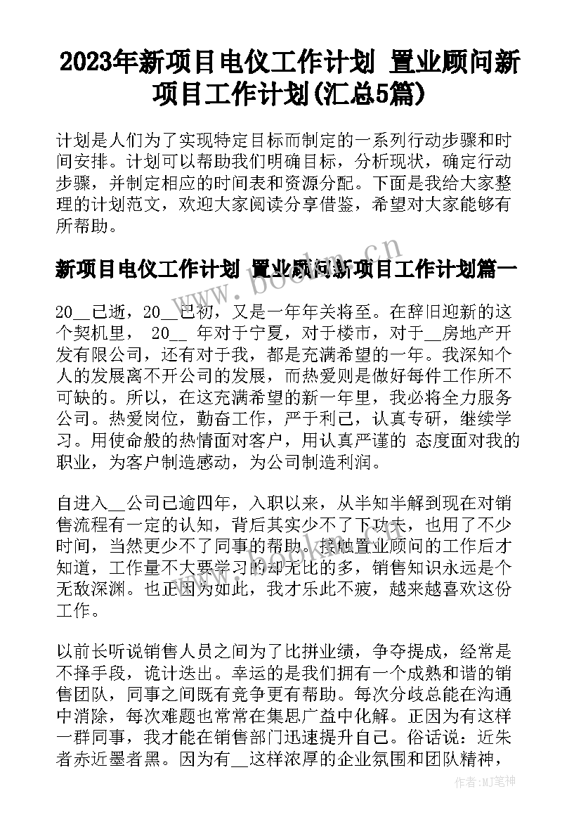 2023年新项目电仪工作计划 置业顾问新项目工作计划(汇总5篇)